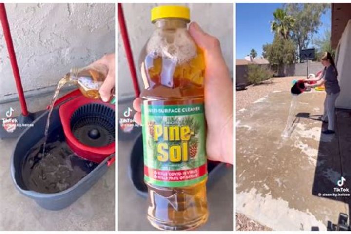 Does Pine-Sol Really Repel Mice? Unraveling The Truth